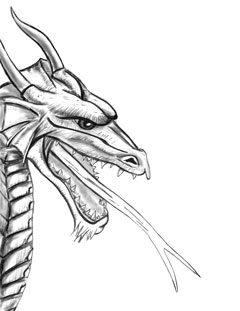 Dragon Coloring Book